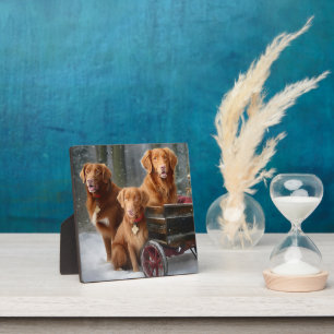 Plaque Photo Nova Scotia Duck Toller Retriever traîneau enneigé
