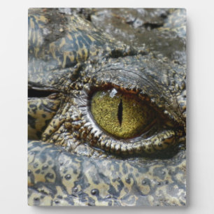 Plaque Photo œil de crocodile visage animal personnalisé diy