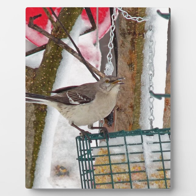 Plaque Photo Oiseau (Devant)