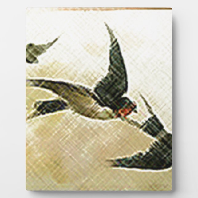 Plaque Photo Oiseaux en vol (Devant)