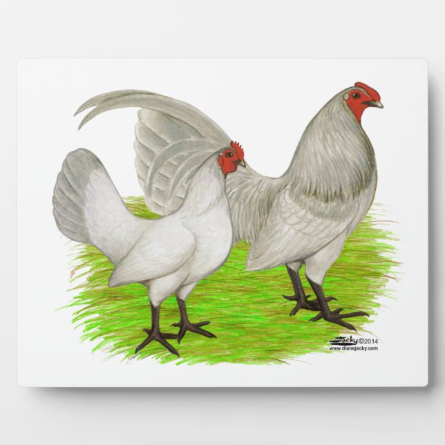 Plaque Photo Old English Game (Devant)