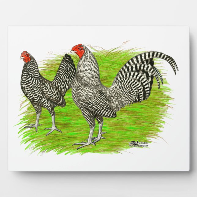 Plaque Photo Old English Game (Devant)