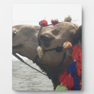 Plaque Photo Oman Mascate Photo Art