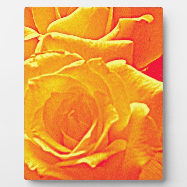 Plaque Photo orange rose fluorescent (Devant)