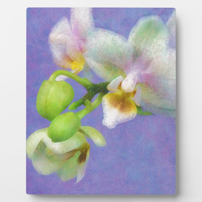 Plaque Photo Orchidées (Devant)