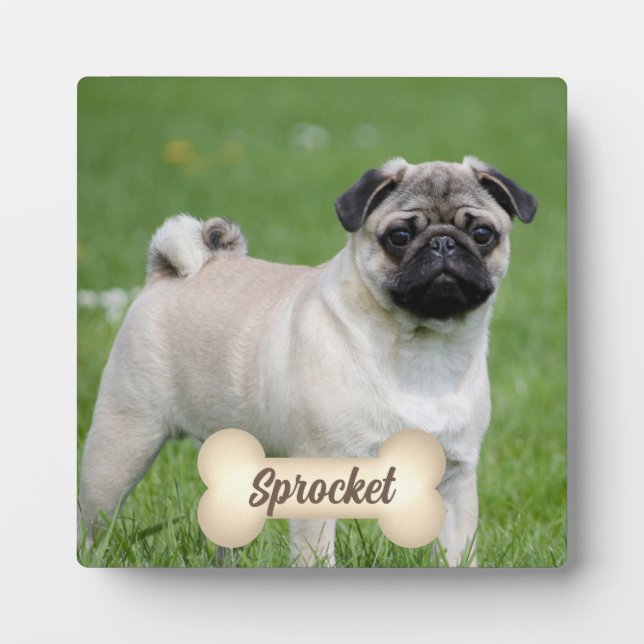 Plaque Photo Os en tons crème avec le nom et la photo de votre  (Devant)