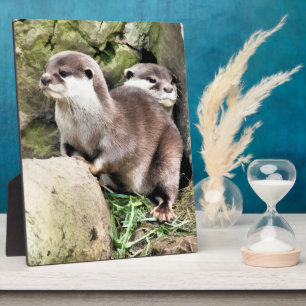 PLAQUE PHOTO OTTERS