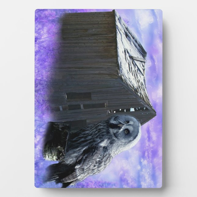 Plaque Photo Owl Barn Shed (Devant)