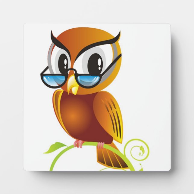 PLAQUE PHOTO OWL STERN (Devant)
