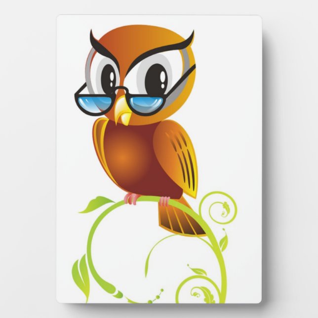 PLAQUE PHOTO OWL STERN (Devant)