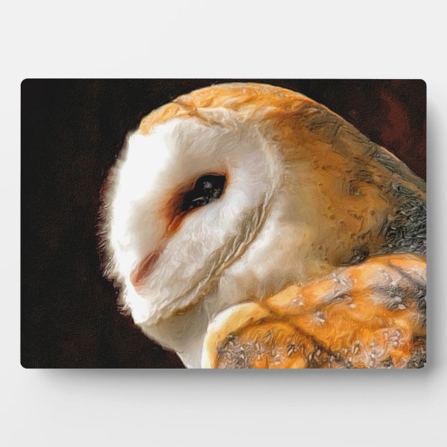 PLAQUE PHOTO OWLS (Devant)