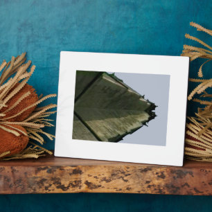 Plaque Photo Oxford 1986 snapshot 241a The MUSEUM Zazzle Gifts,