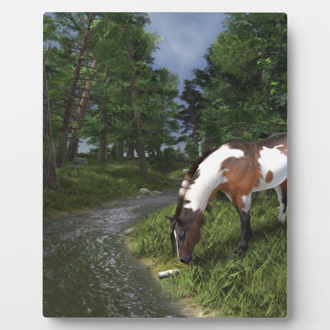 Plaque Photo Paint Horse by Forest Stream (Devant)