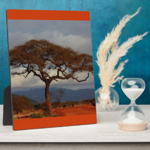 Plaque Photo Paix nuptiale de coutume de douche de l'Afrique de