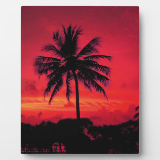 Plaque Photo Palmiers exotiques du coucher de soleil de l'Hawaï
