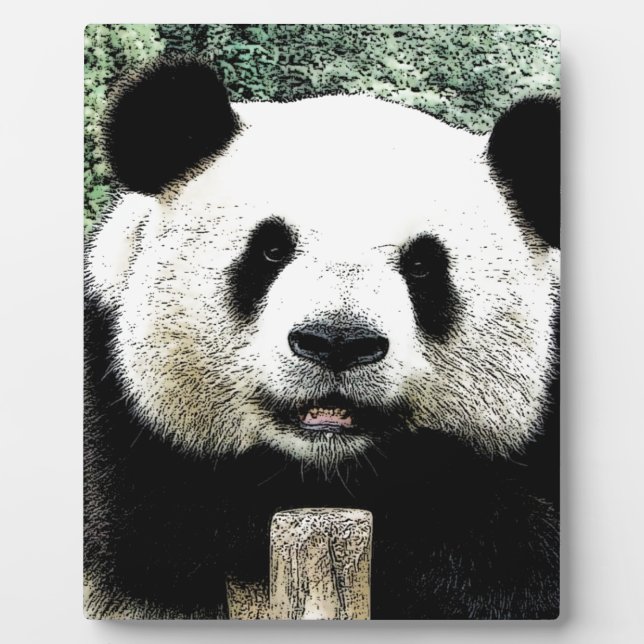Plaque Photo Panda (Devant)