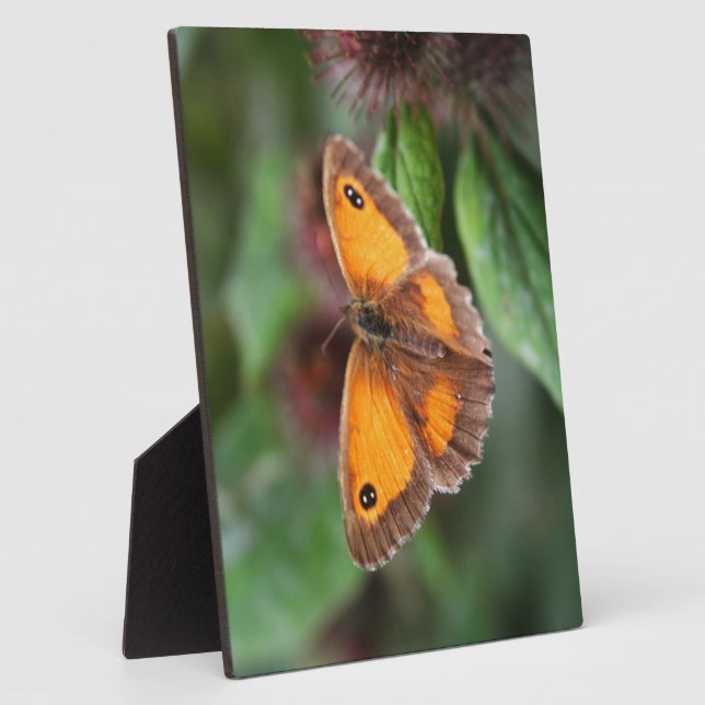 Plaque Photo Papillon (Côté)