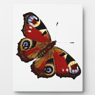Plaque Photo Papillon