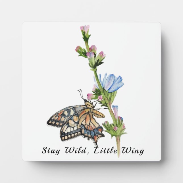 Plaque Photo Papillon aquarelle sur une fleur chicorée (Devant)