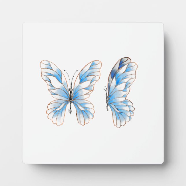 Plaque Photo Papillon bleu (Devant)