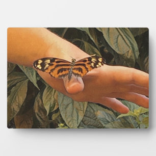Plaque Photo Papillon Monarque convivial
