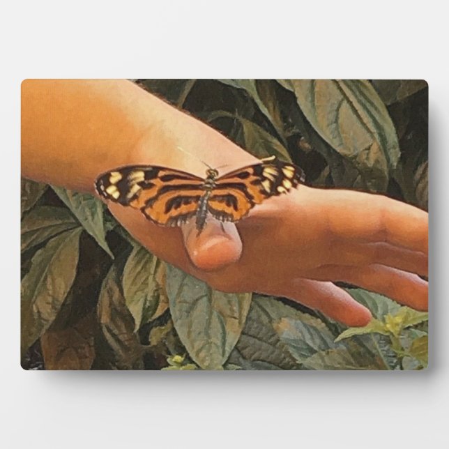 Plaque Photo Papillon Monarque convivial (Devant)