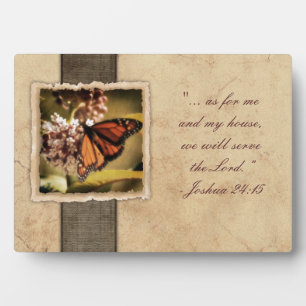 Plaque Photo Papillon Monarque vintage