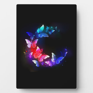Plaque Photo Papillons de nuit Neon brillants sur arrière - pla