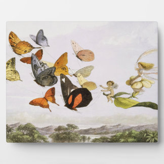 Plaque Photo Papillons vintages & Fée Vieux art d'illustration