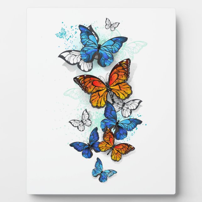 Plaque Photo Papillons volants Morpho et Monarch (Devant)