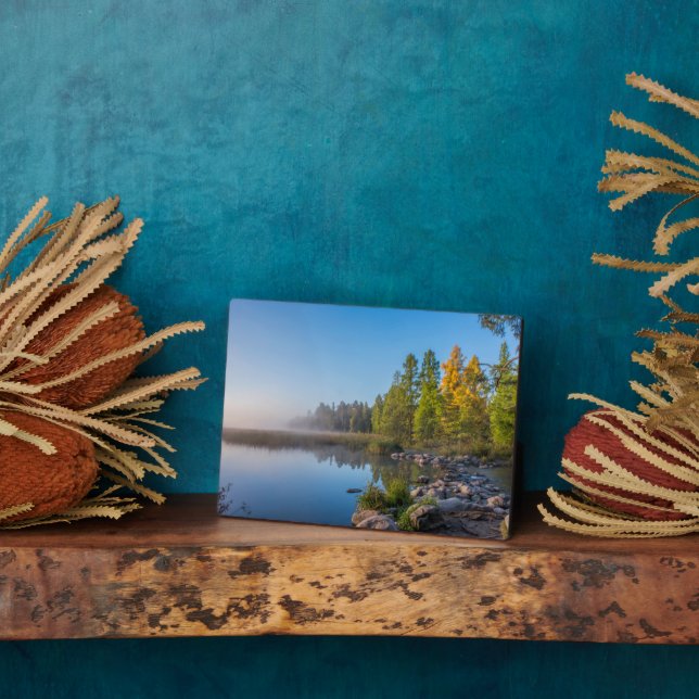 Plaque Photo Parc d'état d'Itasca, Minnesota (Côté)