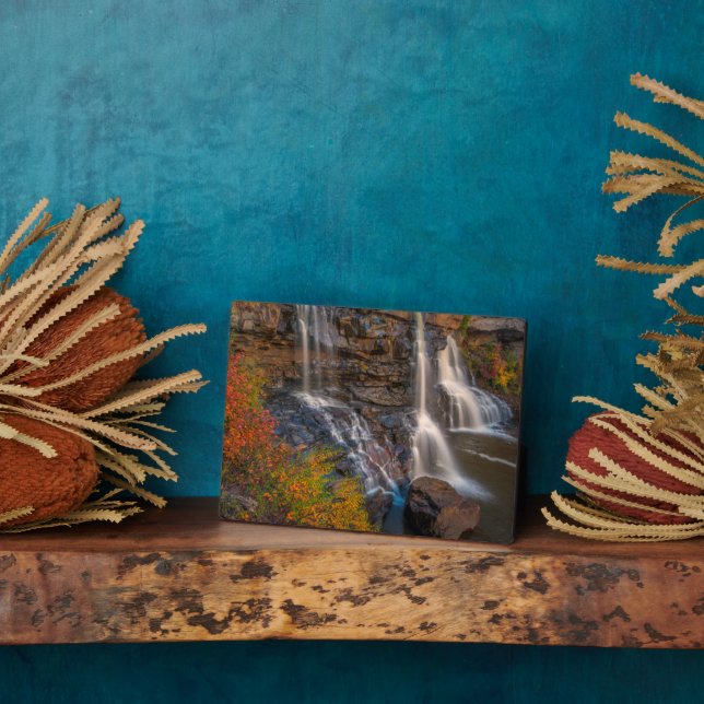 Plaque Photo Parc national de Blackwater Falls | Virginie occid (Côté)