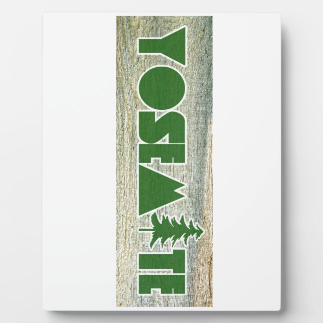 Plaque Photo Parc national de Yosemite (Devant)