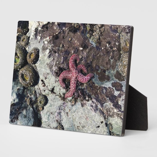 Plaque Photo Parc Rock State de Sisters (Côté)