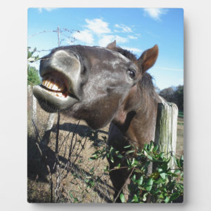 Plaque Photo Parler de cheval Brown
