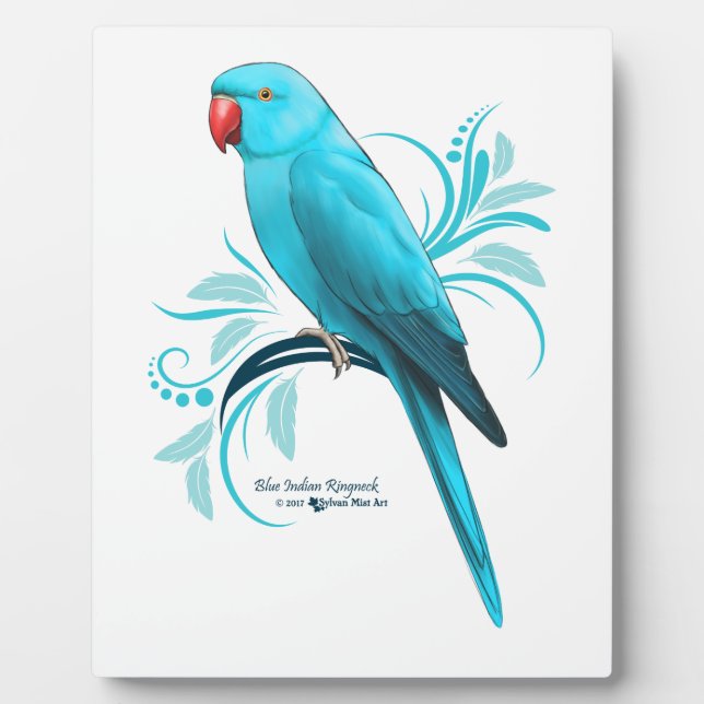 Plaque Photo Parrot bleu indien Ringneck (Devant)