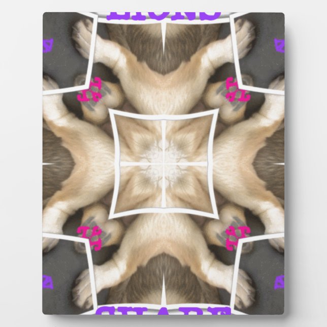 Plaque Photo Part du lion (Devant)