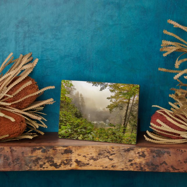 Plaque Photo Paysage forestier et océanique (Côté)