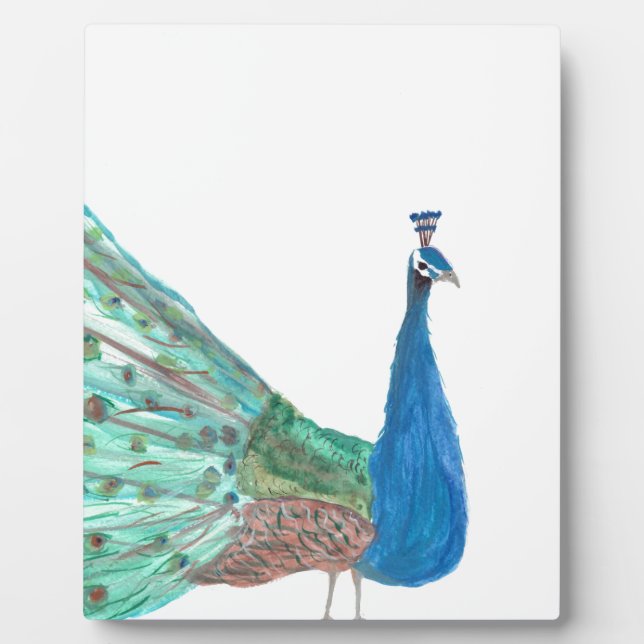 Plaque Photo Peacock (Devant)