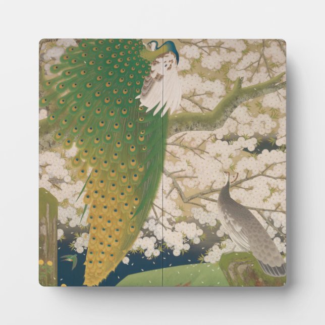 Plaque Photo Peacocks and Cherry Tree (1925) (Devant)