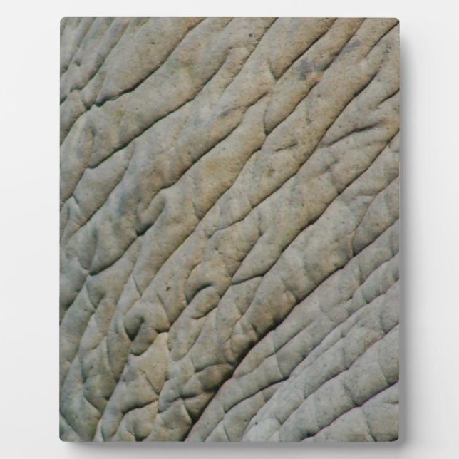 Plaque Photo Peau Eléphante Personnalisée Avec Votre Nom (Devant)