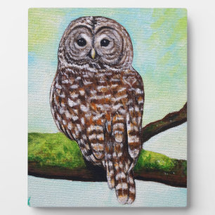 Plaque Photo Peinture de Chouette barrée