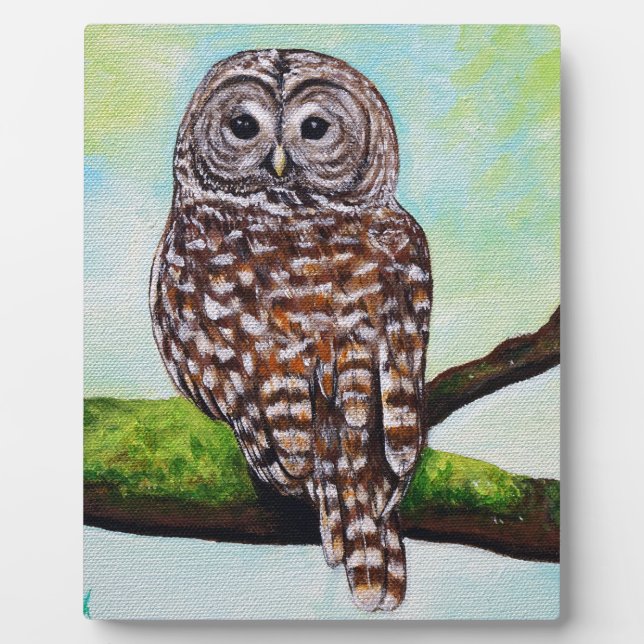 Plaque Photo Peinture de Chouette barrée (Devant)