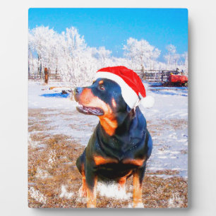 Plaque Photo Peinture de Noël de chien Rottweiler
