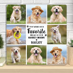Plaque Photo Personnalisé 8 Photo Collage Animaux de compagnie<br><div class="desc">Célébrez votre meilleur ami avec une plaque de collage photo mémorial personnalisée dans un design moderne. Cette plaque photo unique pour chien commémoratif est le cadeau idéal pour vous, votre famille ou vos amis pour honorer ceux qui sont aimés. Citation "Tu as été mon bonjour préféré et mes plus durs...</div>