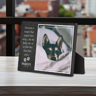 Plaque Photo Perte d'animal de compagnie Memorial Sweet Tribute