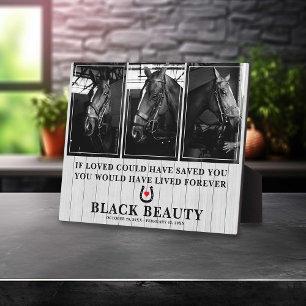 Plaque Photo Perte de Cheval pour animaux Horse 3 Photo Plaqu