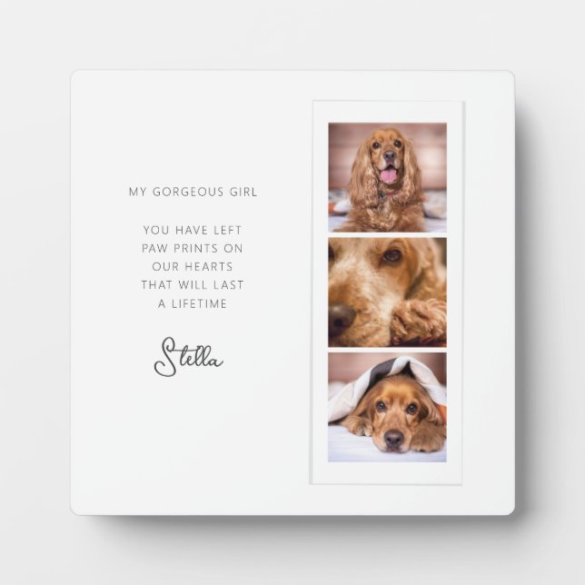 Plaque Photo Pet Memorial 3 Photo Collage Citation du souvenir (Devant)