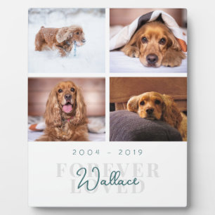 Plaque Photo Pet Memorial Forever Loved Élégant 4 Photo Collage