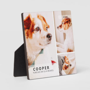 Plaque Photo Pet Memorial Modern Simple Geometry Photo Collage